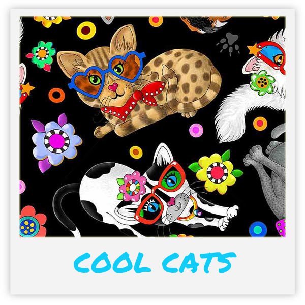 Kačių žaislas su katžole viduje