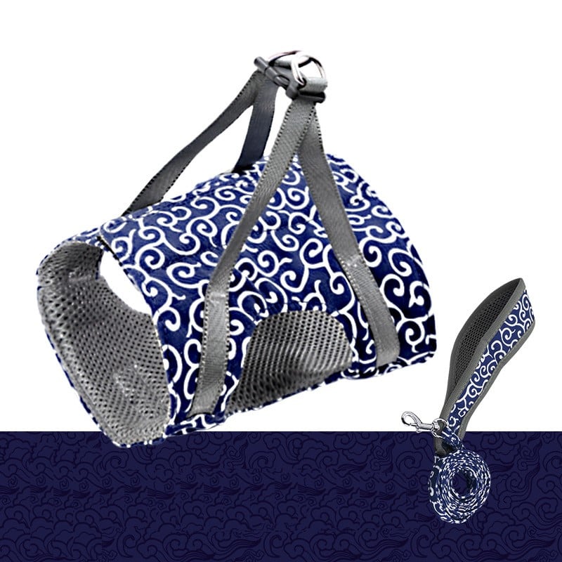 Kačių petnešų ir pavadėlio rinkinys