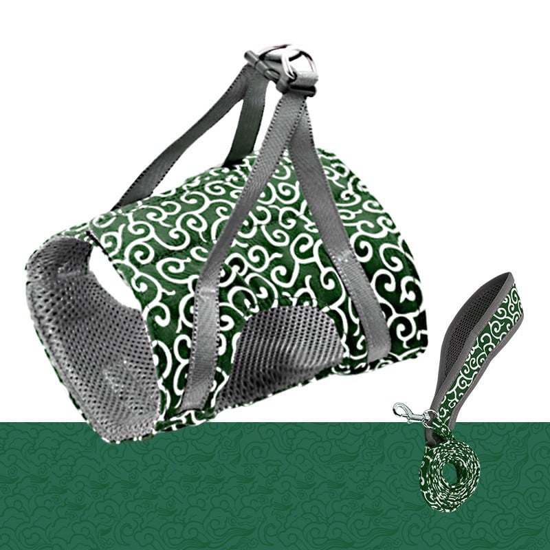 Kačių petnešų ir pavadėlio rinkinys