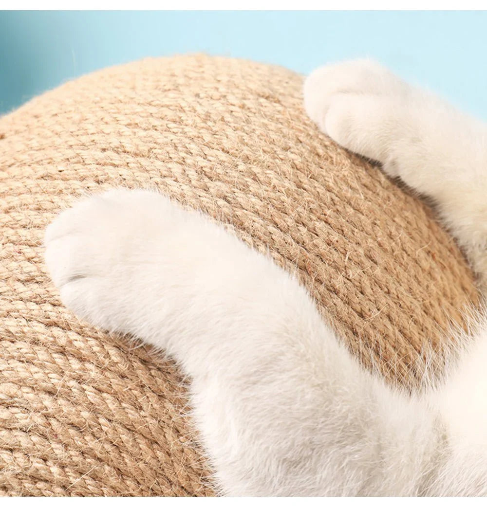 Kačių draskymo kamuolys