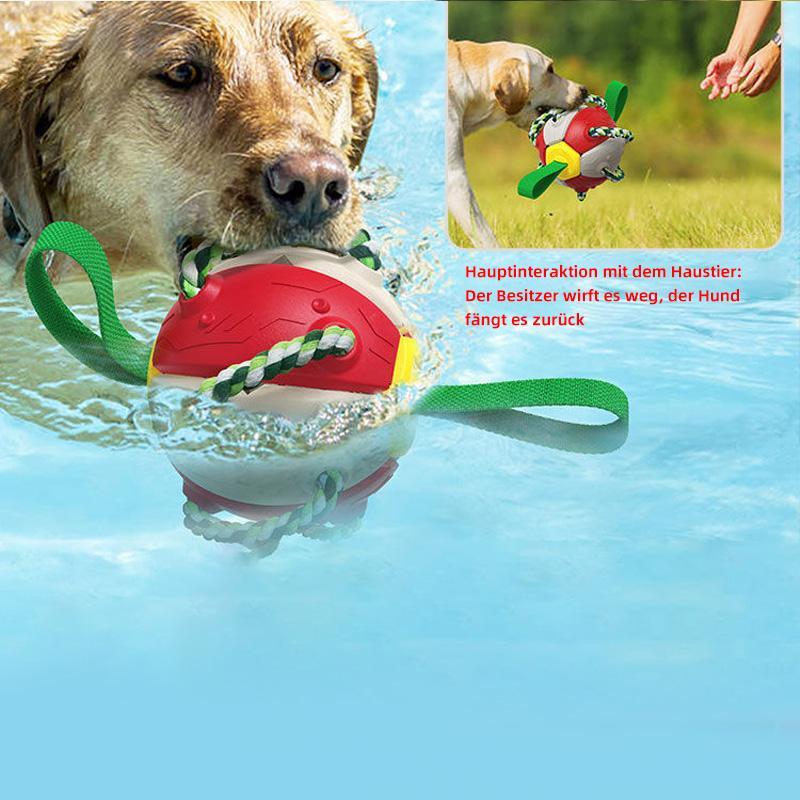 Interaktyvus kamuolys šunims