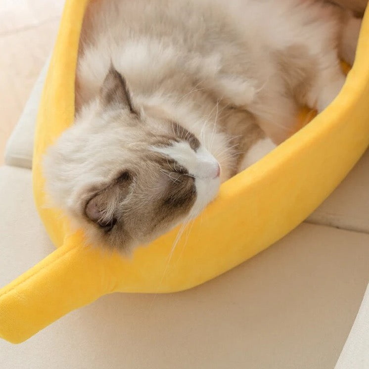 Banano formos guolis gyvūnams