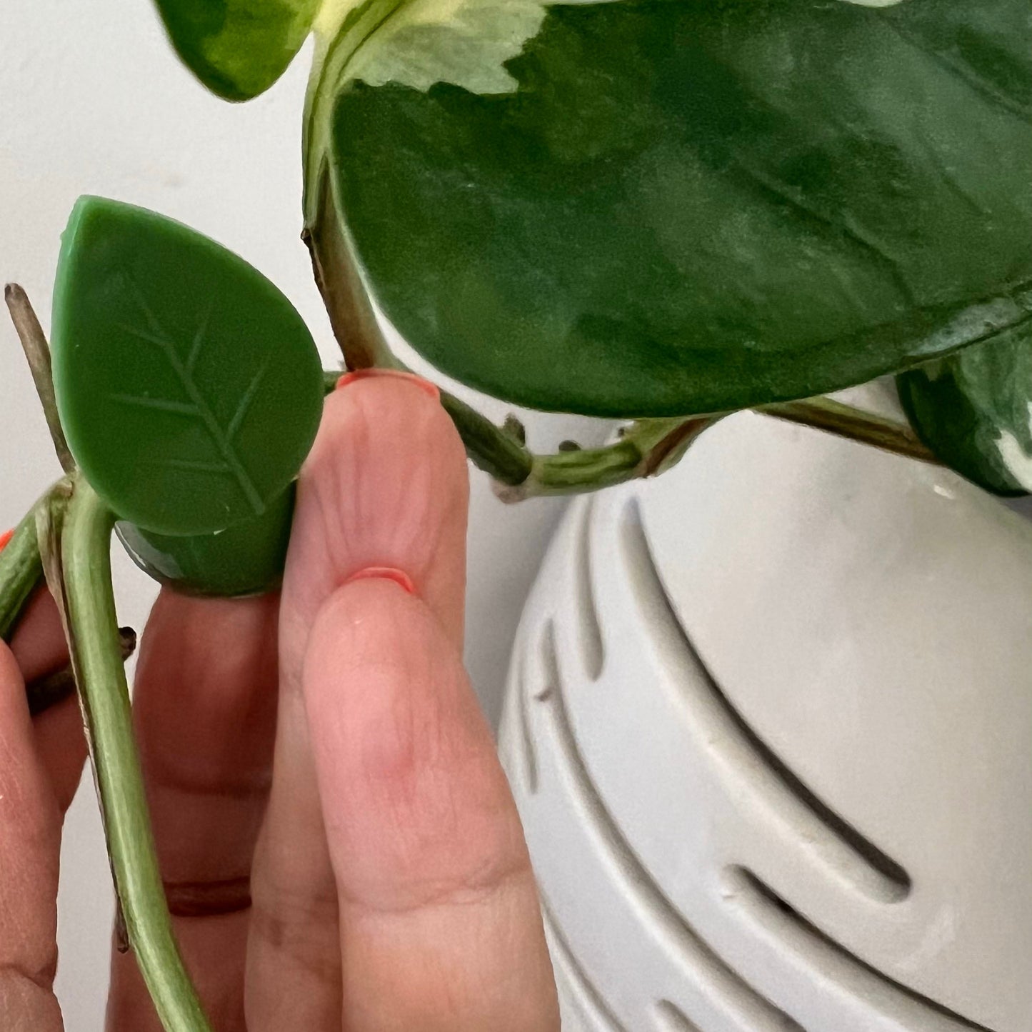 Augalų šakelių segtukai (50 vnt.)