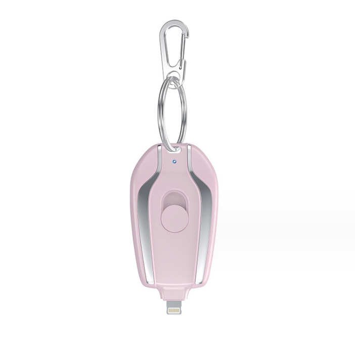 Raktų pakabukas - matinimo bankas