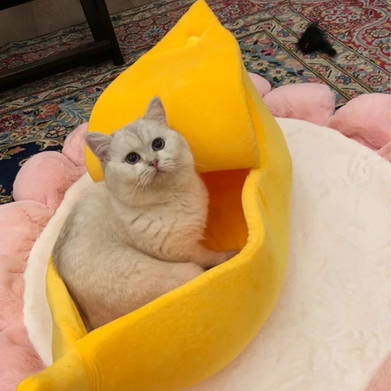 Banano formos guolis gyvūnams