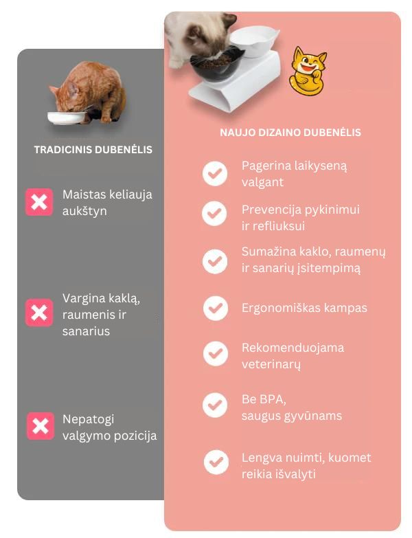 Katės maisto dubenėlis