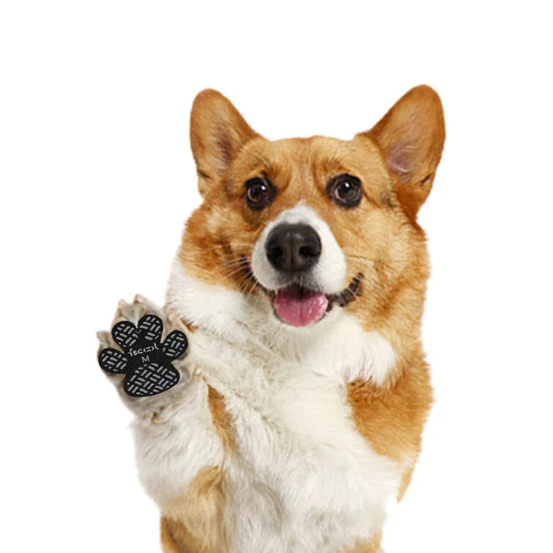 Šunų letenų apsauginiai lipdukai