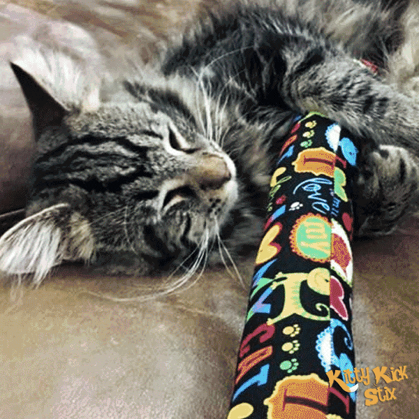 Kačių žaislas su katžole viduje