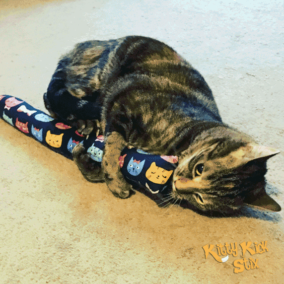 Kačių žaislas su katžole viduje