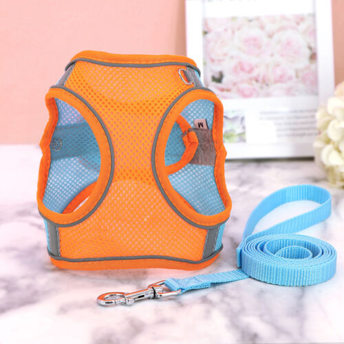 Šviesą atspindintis pavadėlis (3 vnt.)