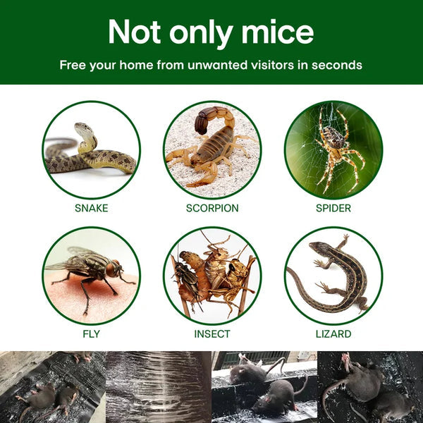 Lipnus kilimėlis pelėms gaudyti