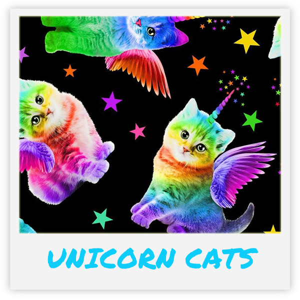 Kačių žaislas su katžole viduje