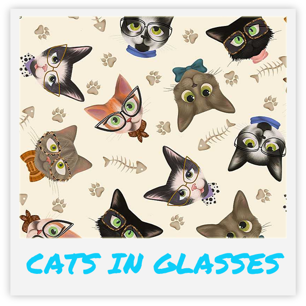 Kačių žaislas su katžole viduje