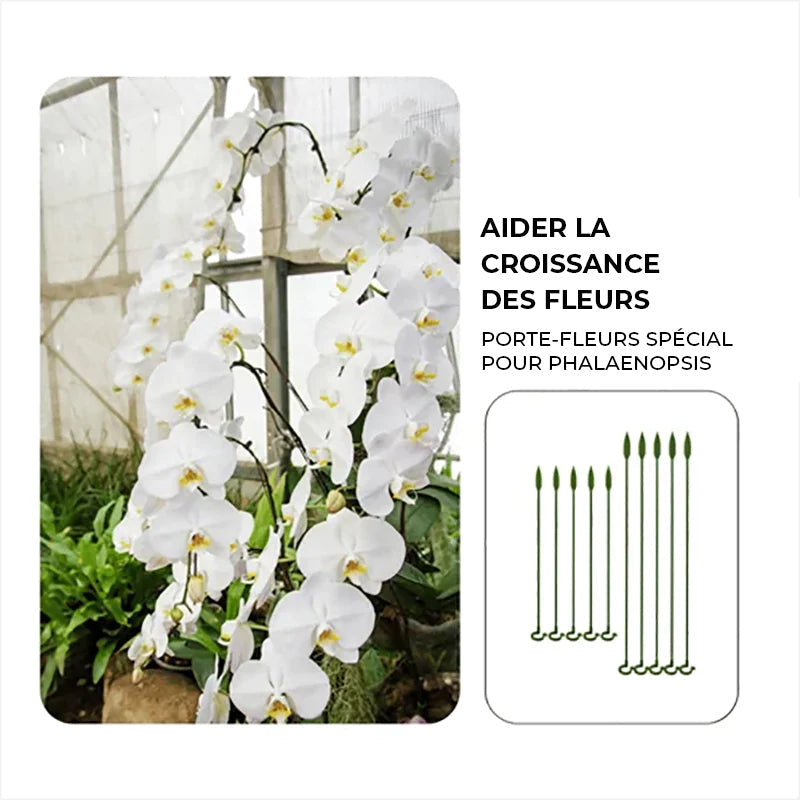 Augalų stiebų laikikliai (10 vnt.)