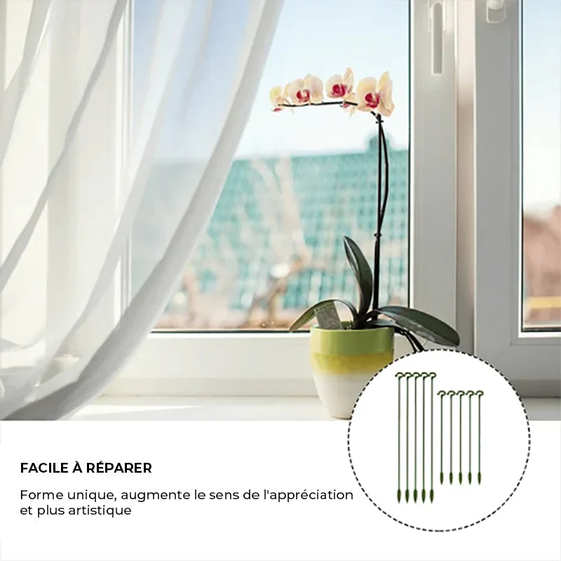 Augalų stiebų laikikliai (10 vnt.)