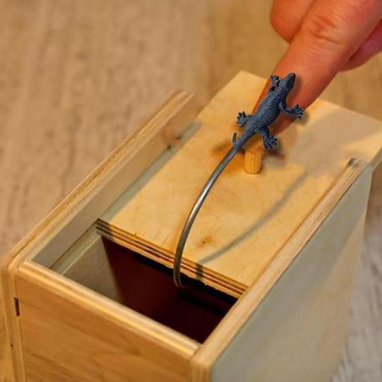 Šmaikšti dovanėlė