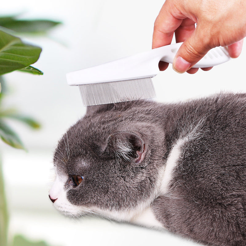 Augintinių šukos nuo blusų