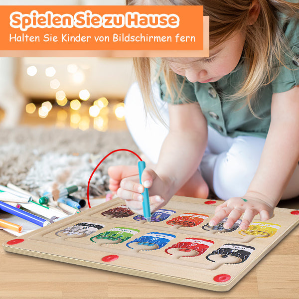 Magnetinis karoliukų labirintas