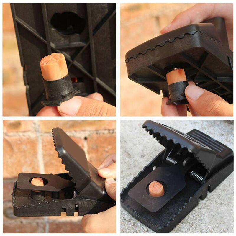 Daugkartinė pelių gaudyklė