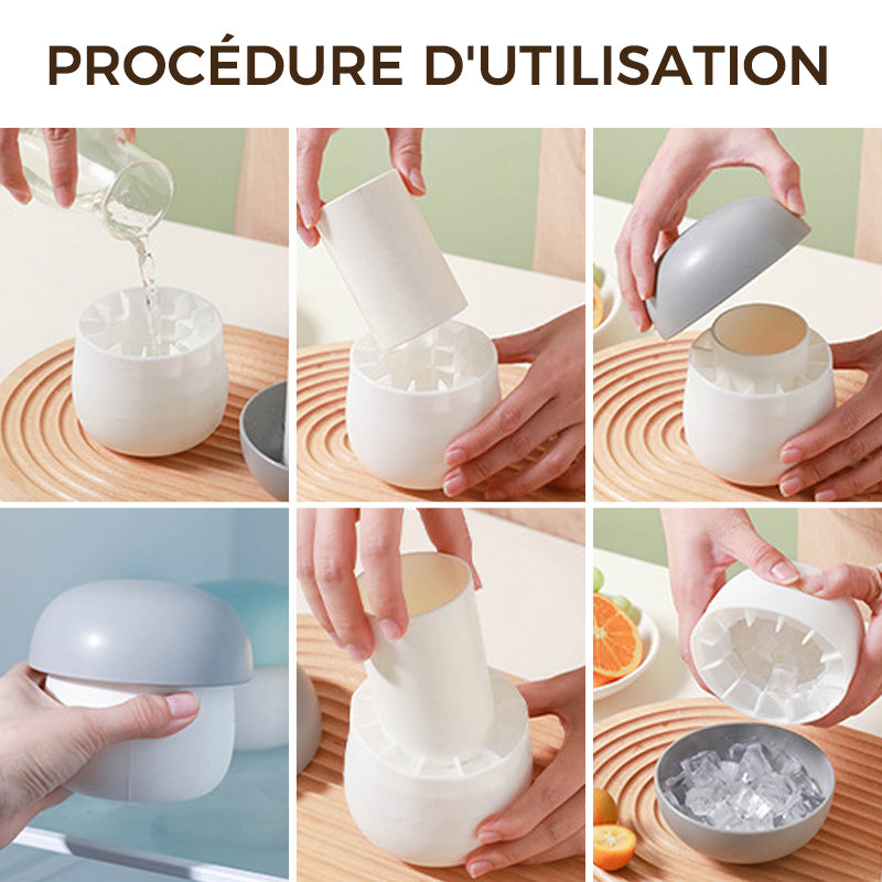 Silikoninė ledukų šaldymo formelė