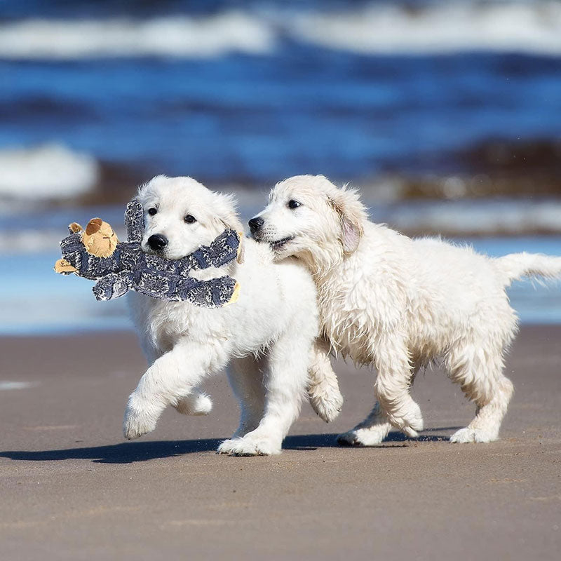 Šunų žaislas "Solidus meškinas"
