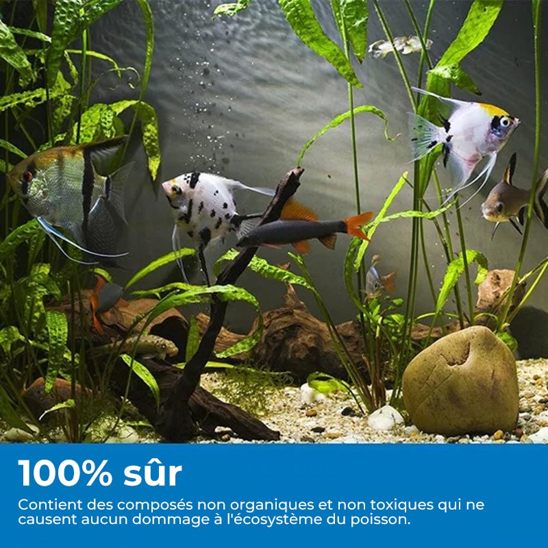 Akvariumo valymo milteliai