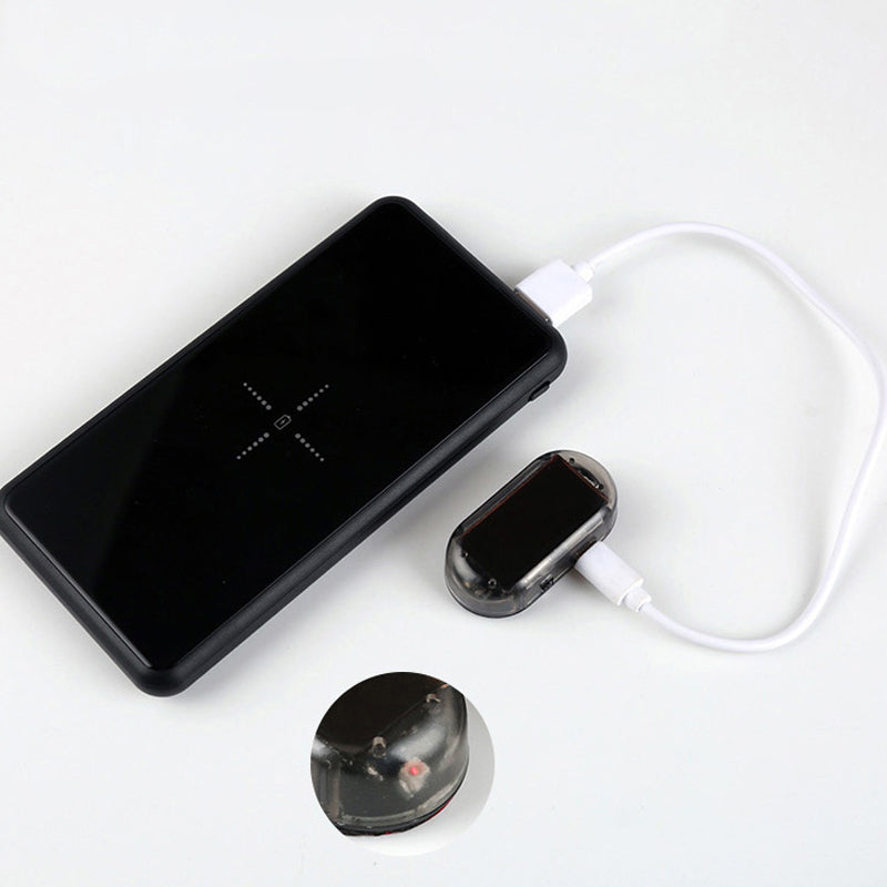 Imitacinė signalizacijos lemputė nuo vagių