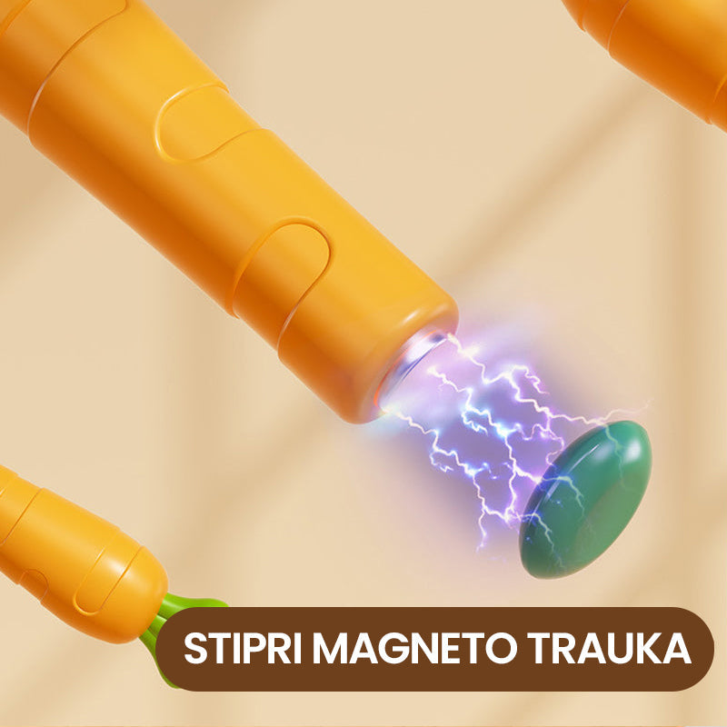 Magnetinė kūrybinė lenta