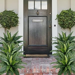 UV spinduliams atsparus tikroviškas dirbtinis Bostono papartis