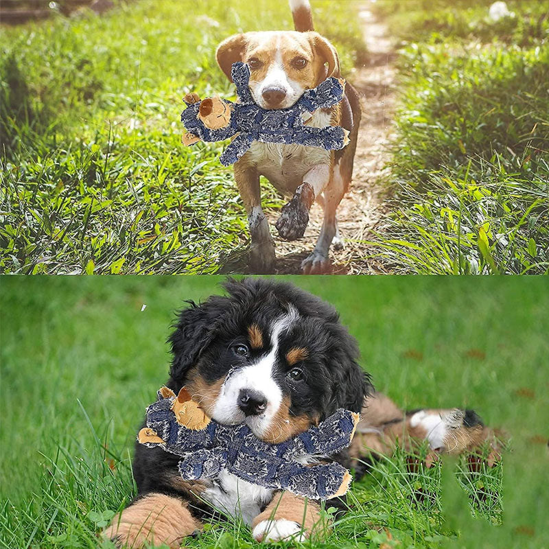 Šunų žaislas "Solidus meškinas"