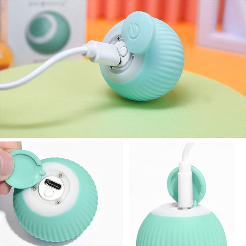 Išmanus augintinių kamuoliukas su paklotu