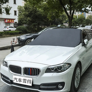 Priekinio automobilio lango uždangalas – 13 nuotrauka