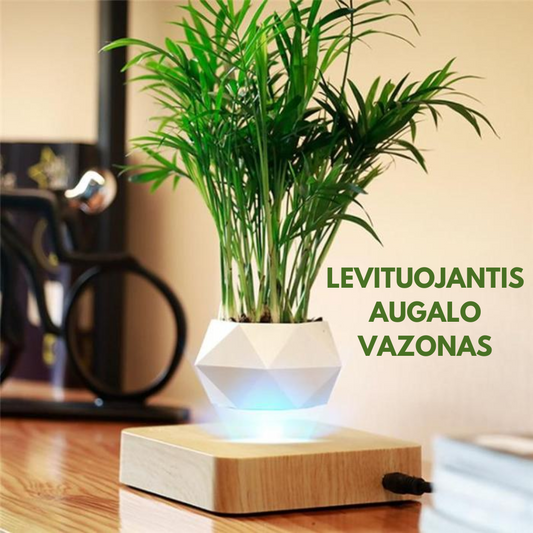Levituojantis augalo vazonas