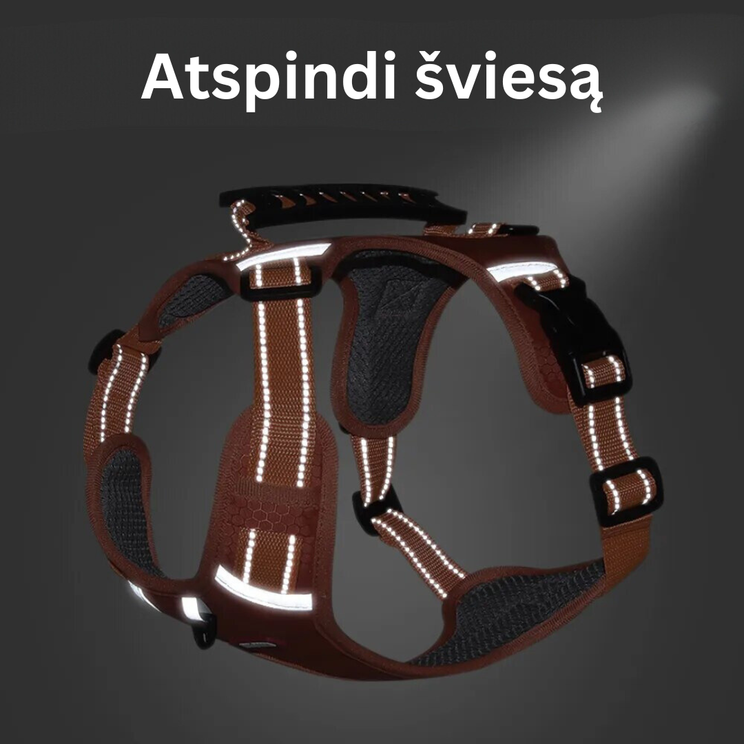 Petnešos šuniukams