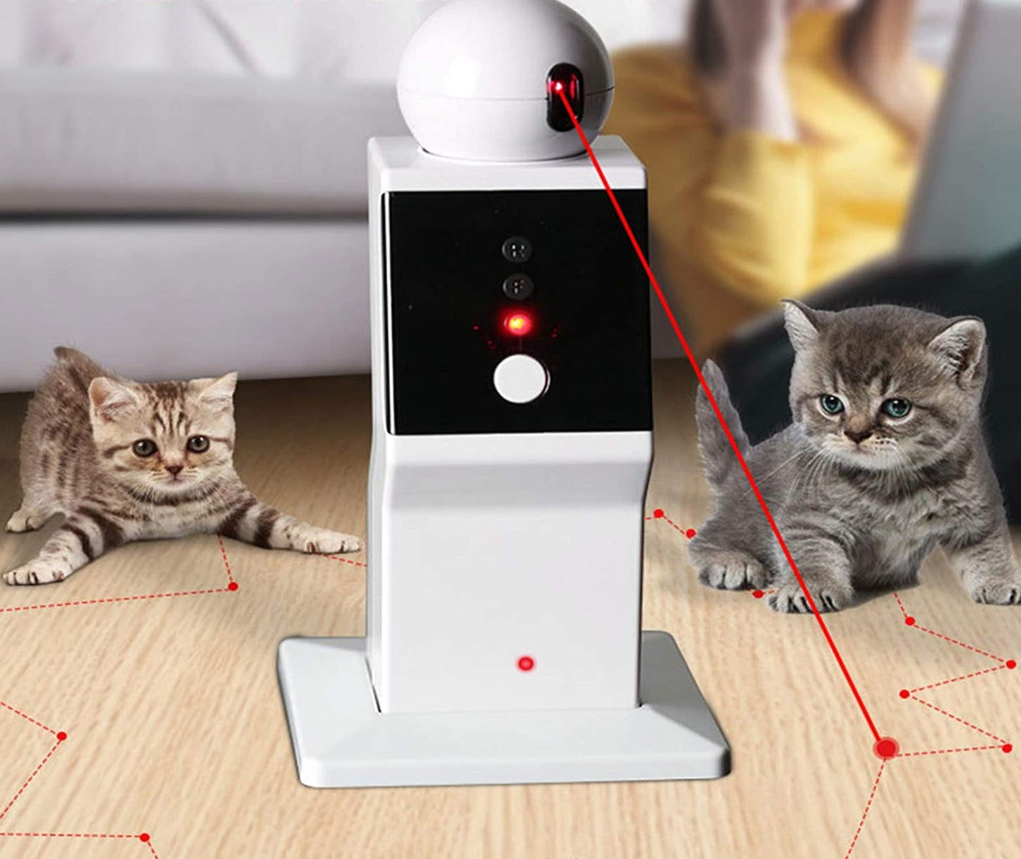 Automatinis lazeris katėms