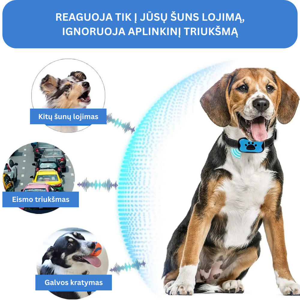 Antkaklis nuo šuns lojimo