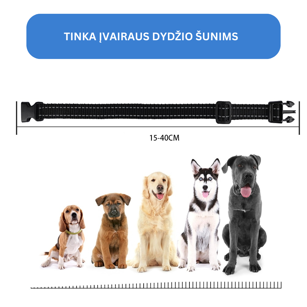 Antkaklis nuo šuns lojimo