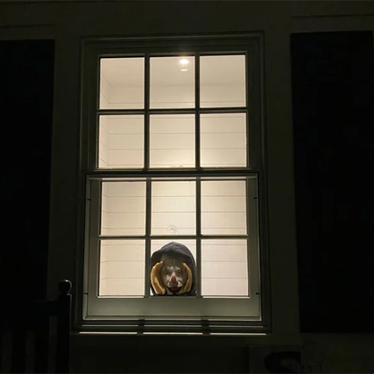 Prie lango tvirtinama šiurpi kaukė