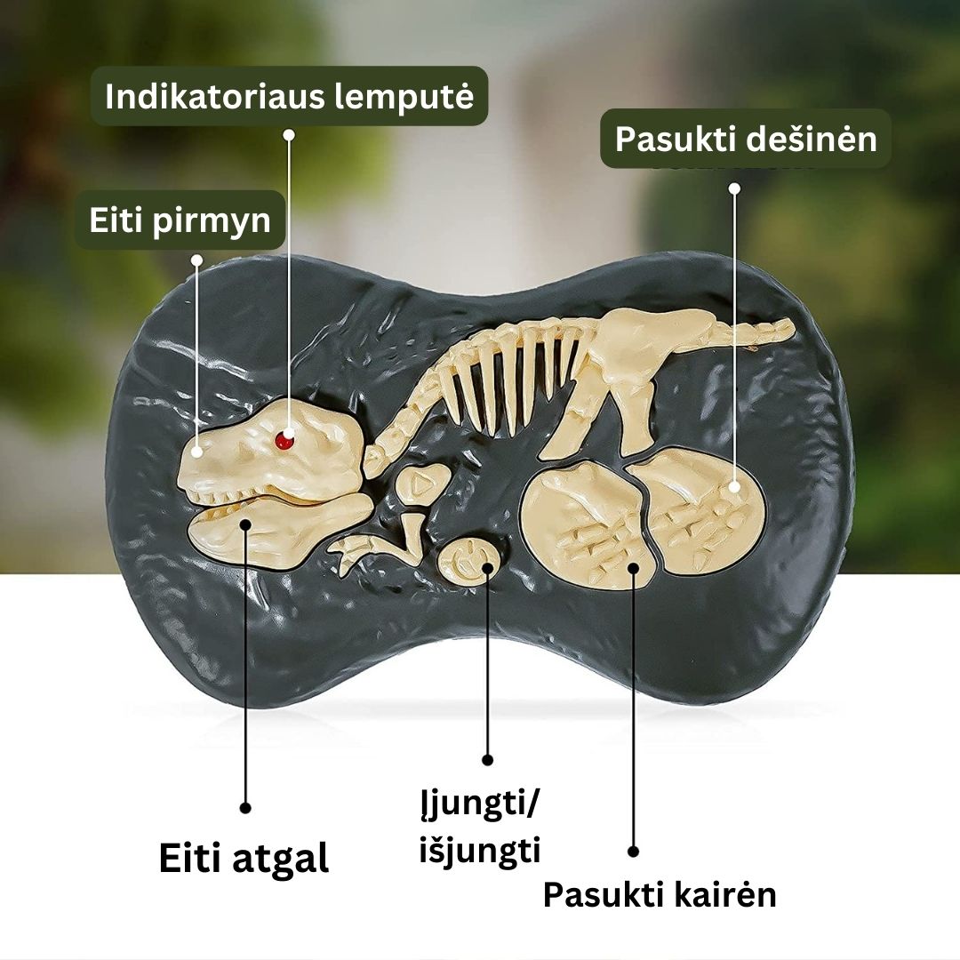 Pulteliu valdomas dinozauras