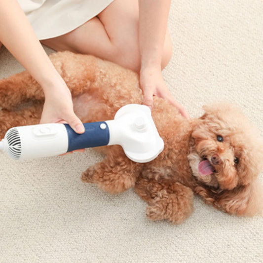 Plaukų džiovintuvas - šukos augintiniams 2 in 1