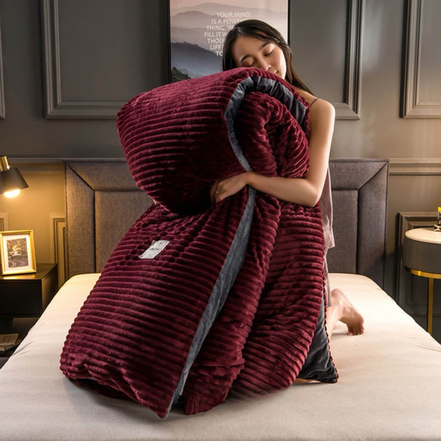 Aksominės vilnos audinio antklodės užvalkalas | Reguliuojamas patogumas kiekvienam metų laikui, stilingas ir minkštas