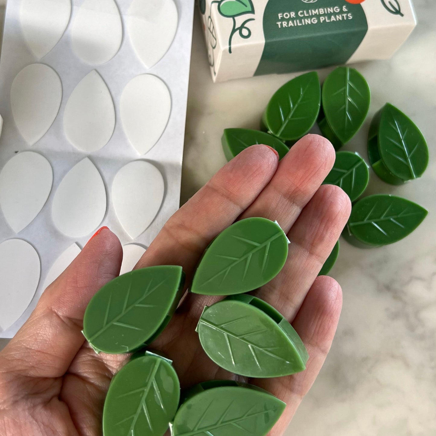 Augalų šakelių segtukai (50 vnt.)