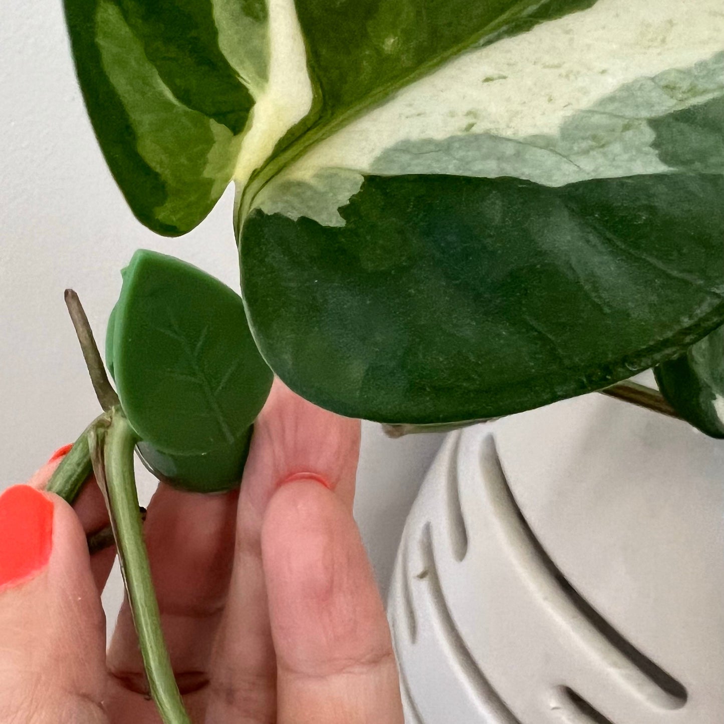 Augalų šakelių segtukai (50 vnt.)