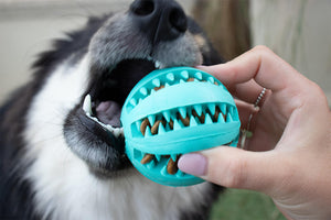 Dantų valymo kamuoliukas šunims Toothy™ – 14 nuotrauka
