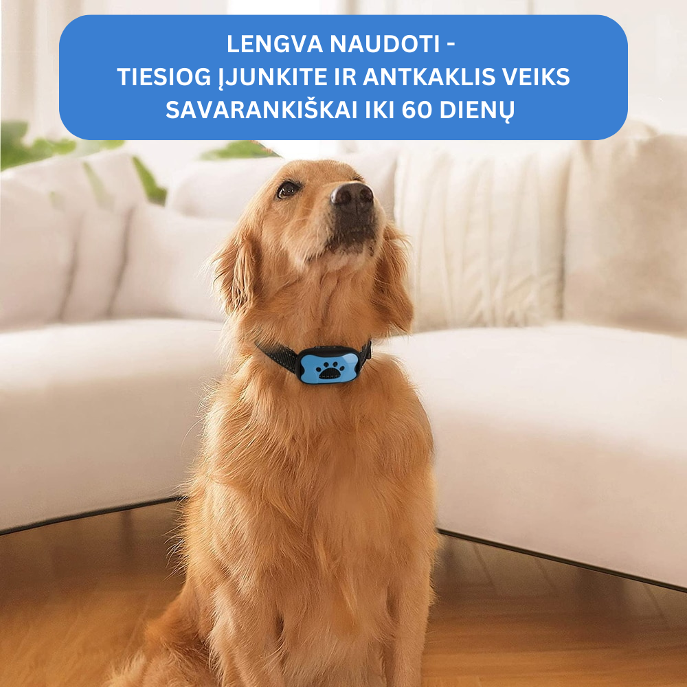 Antkaklis nuo šuns lojimo