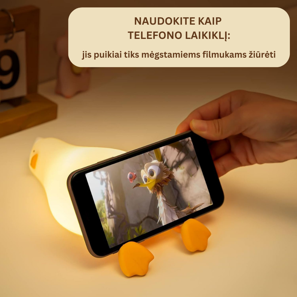 Gulinčio viščiuko šviestuvas