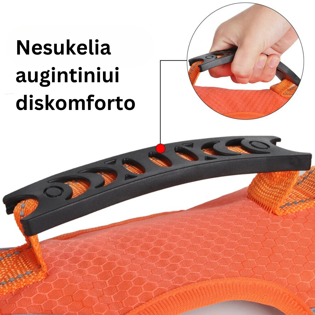Petnešos šuniukams