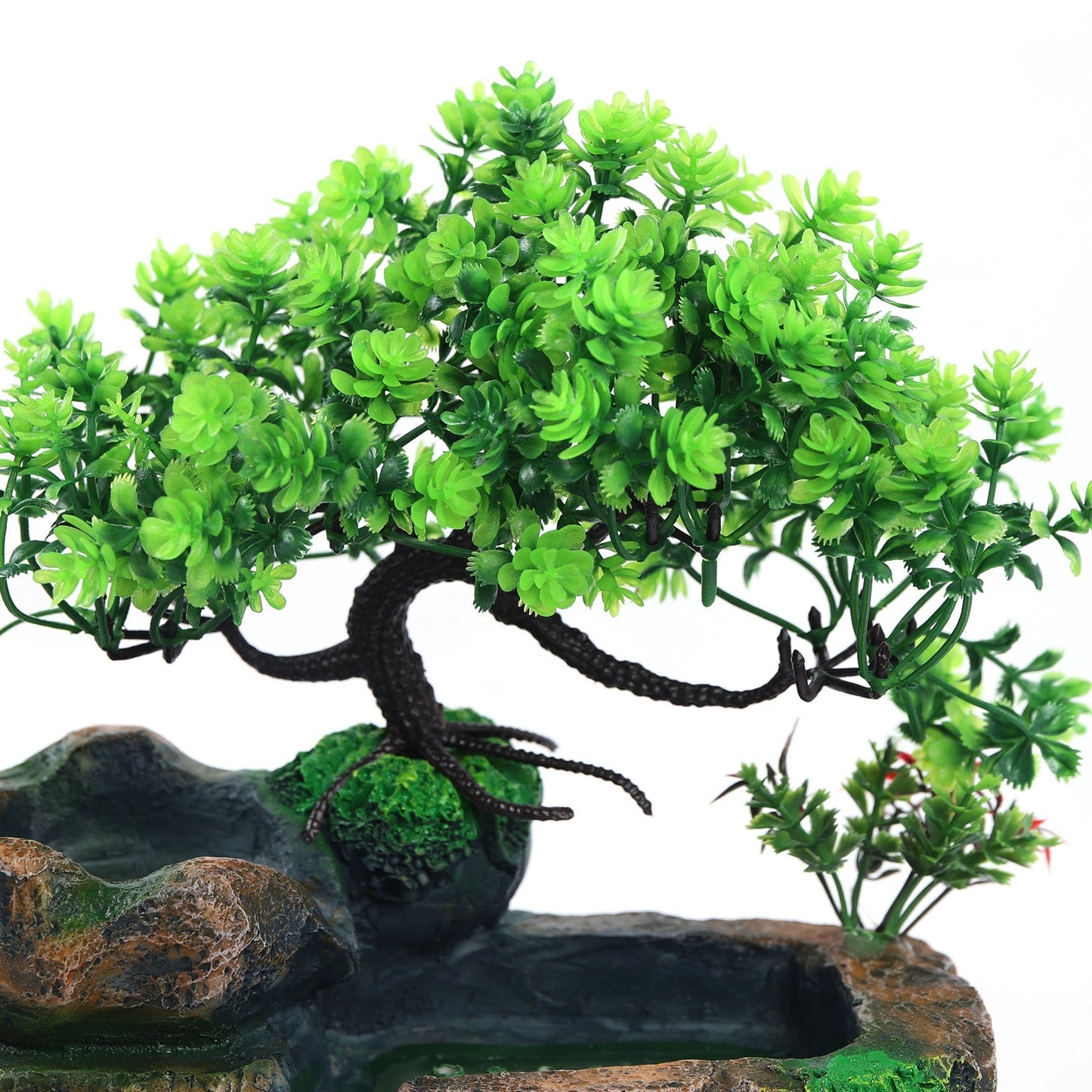 Dekoratyvinis augalas su vandens fontanėliu