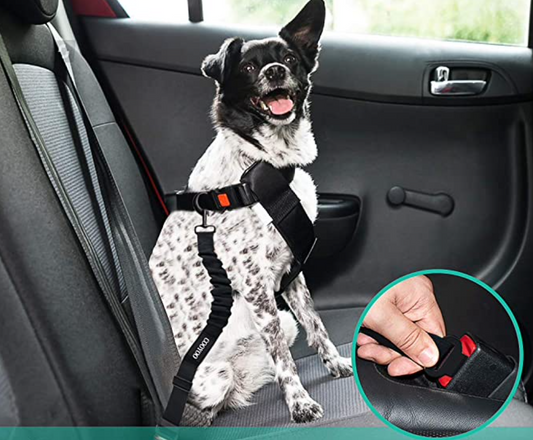 Naminių gyvūnėlių saugos diržas automobiliui