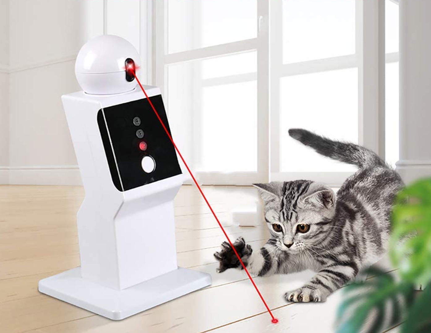 Automatinis lazeris katėms